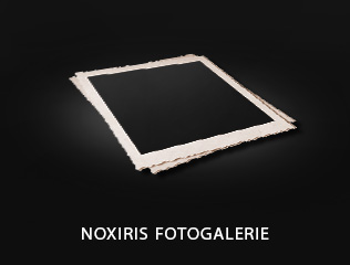 Galerie