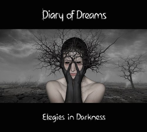 DIARY OF DREAMS - "Elegies In Darkness"