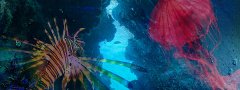 20171231_buehne_nautilus_dss.jpg
